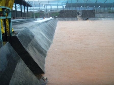 Water ponds, 5000 m3<br> PT Maitland-Smith Indonesia | Heritage Home Groups